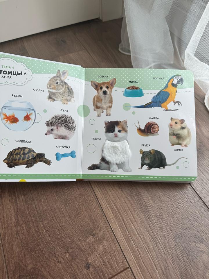 Книжка с элементами звуков