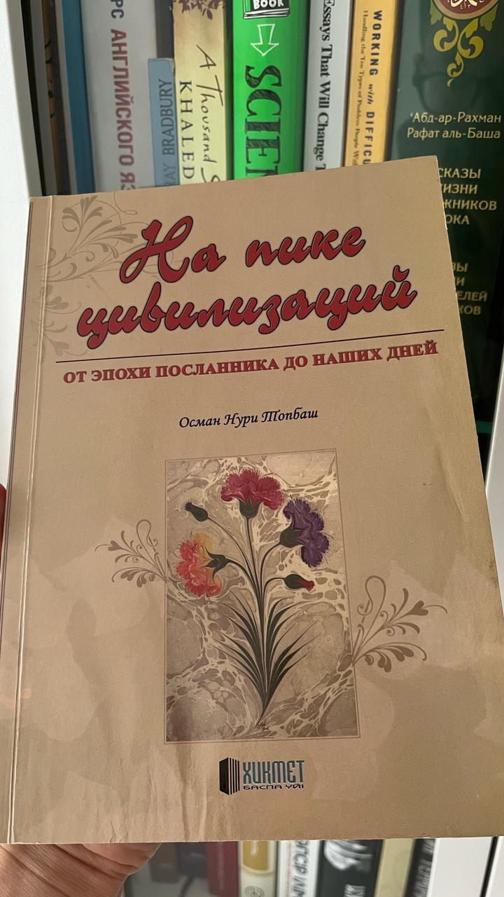 Книга На пике цивилизаций