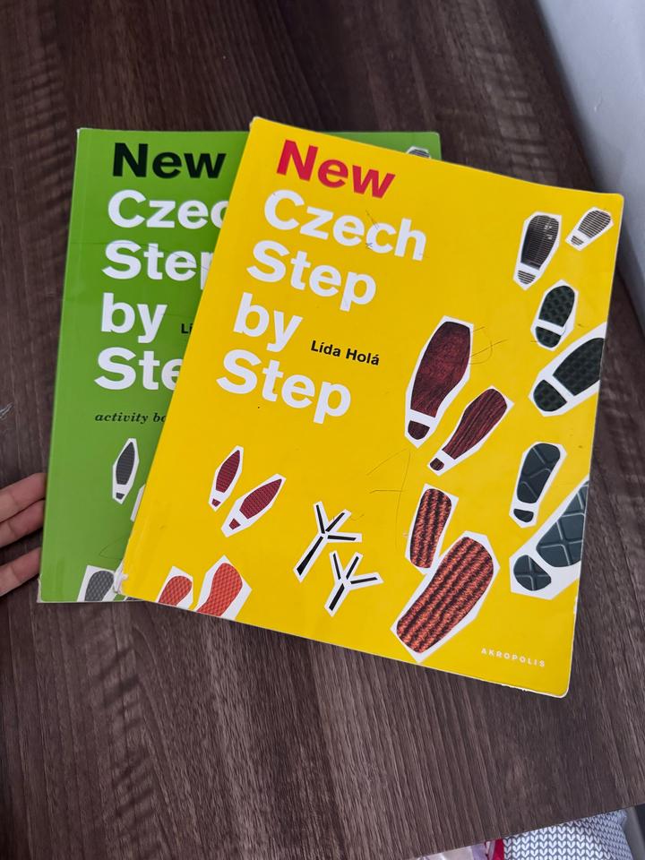 Чешский язык