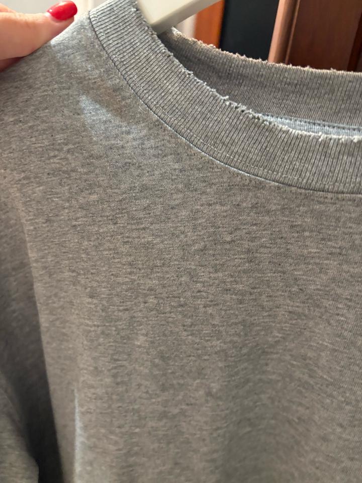 Серый Лонг chia