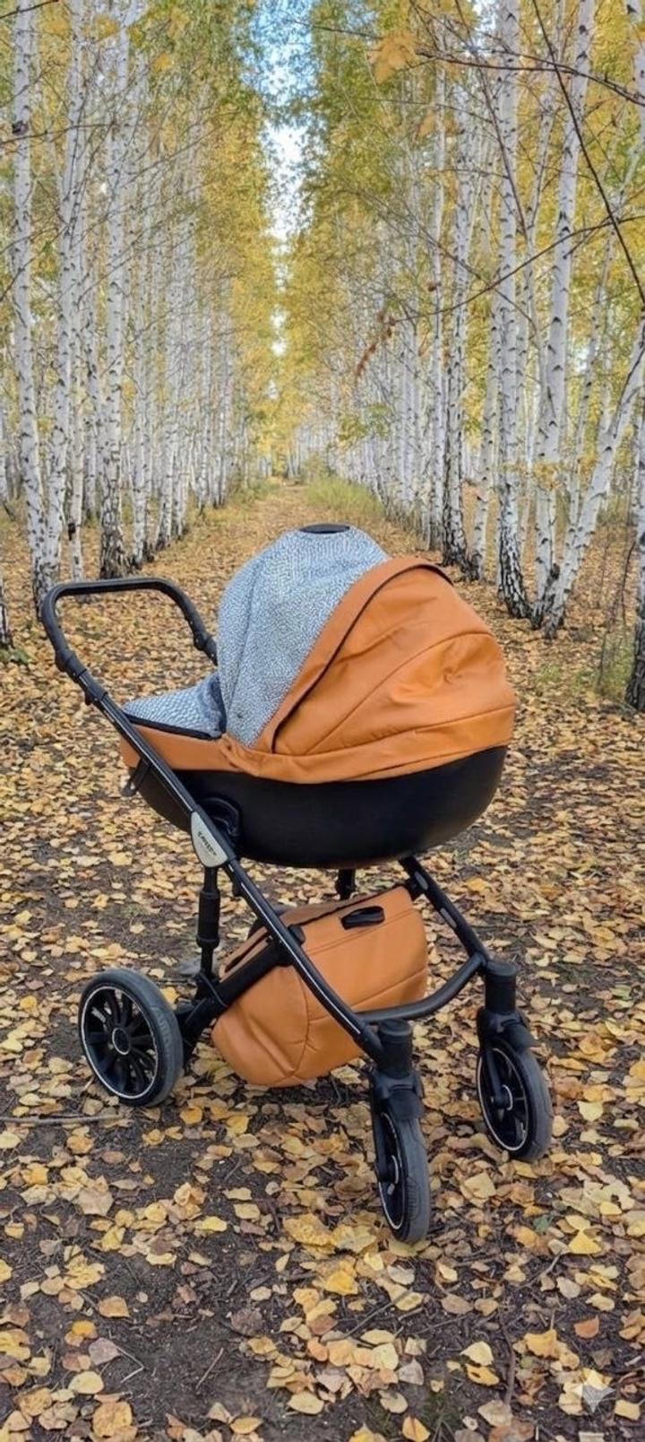 3 в 1. Anex sport (анекс спорт)