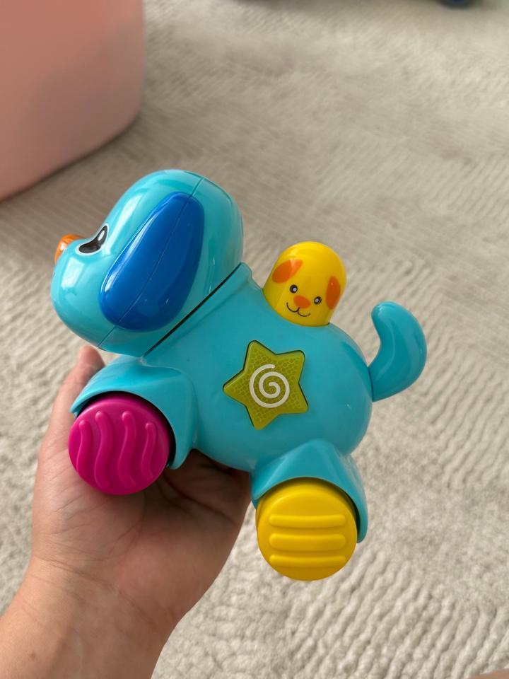 Собачка hola