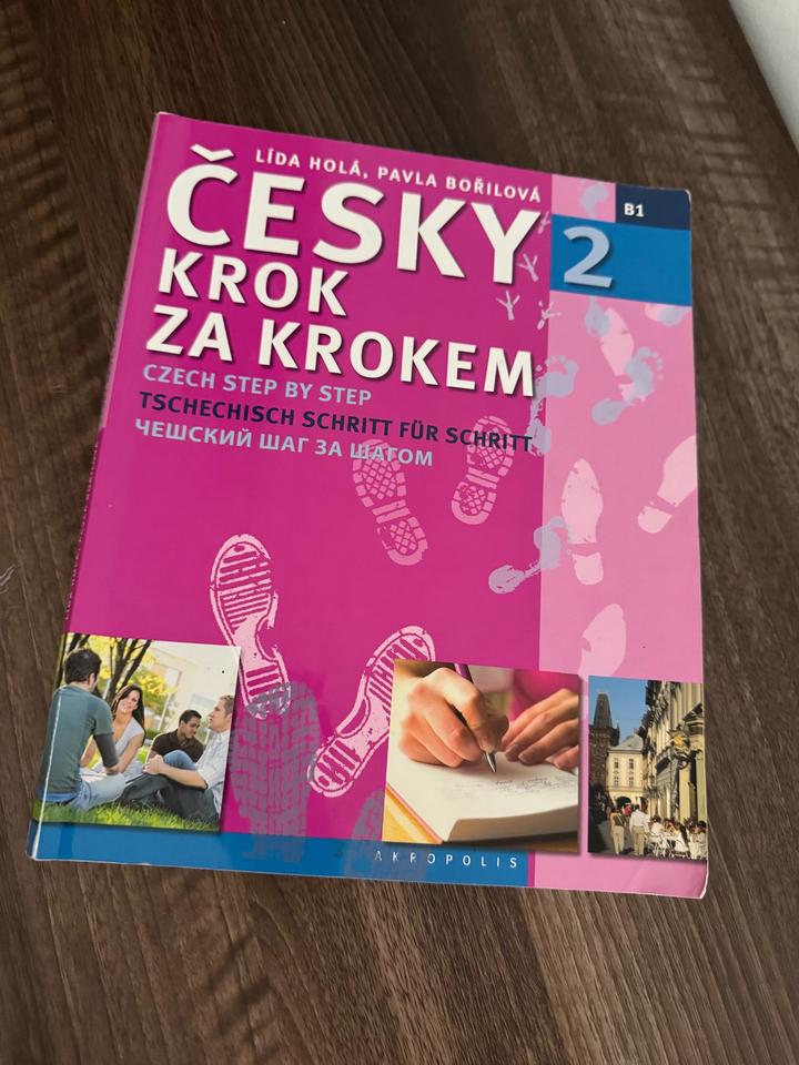 Чешский язык