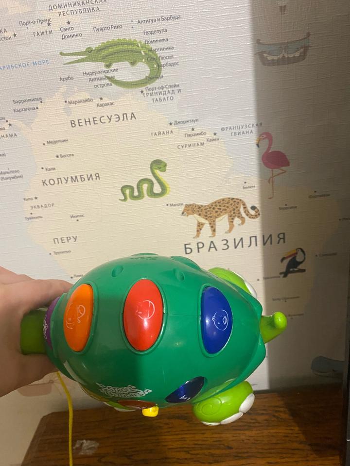 Музыкальная игрушка черепашка