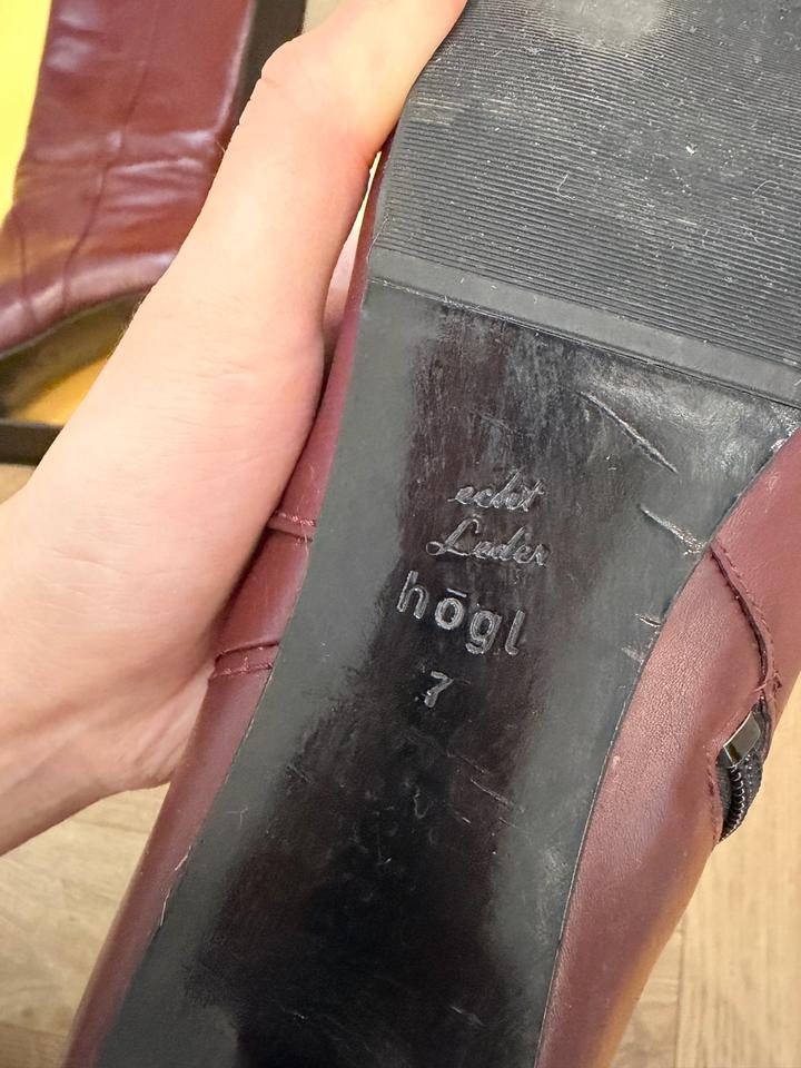 Бордовые сапоги HOGL