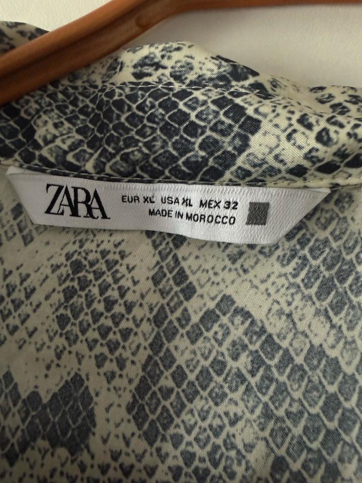 Двойка Zara, рубашка и брюки