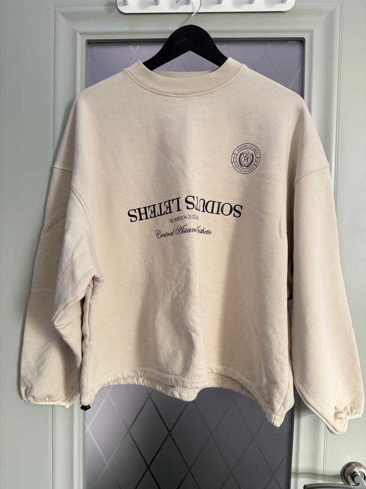 Толстовка Shetel Studios