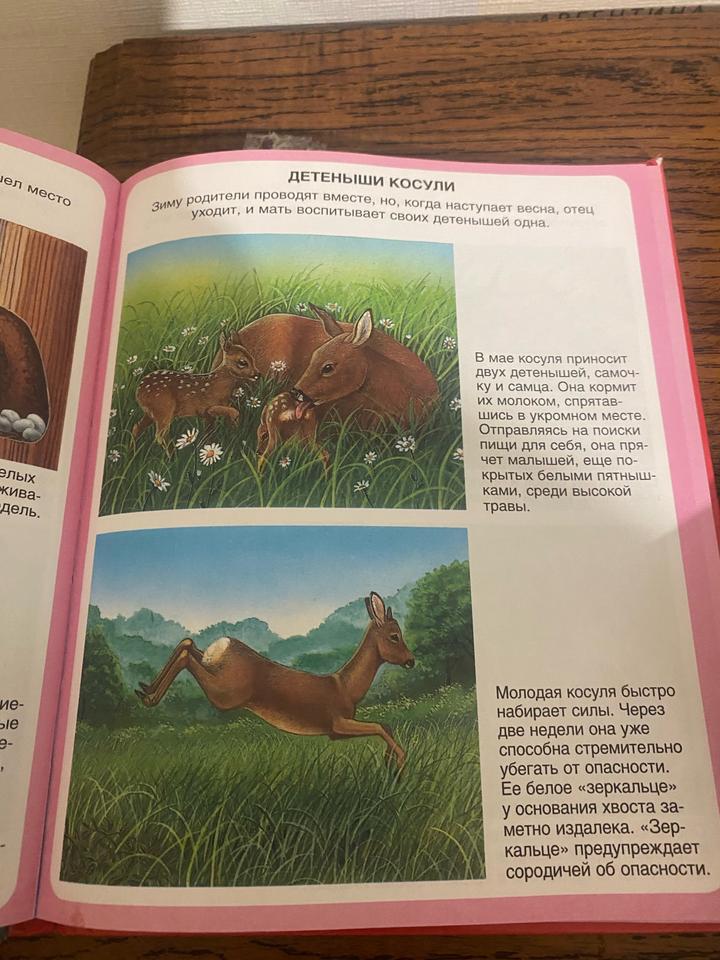 Книги для мальчика