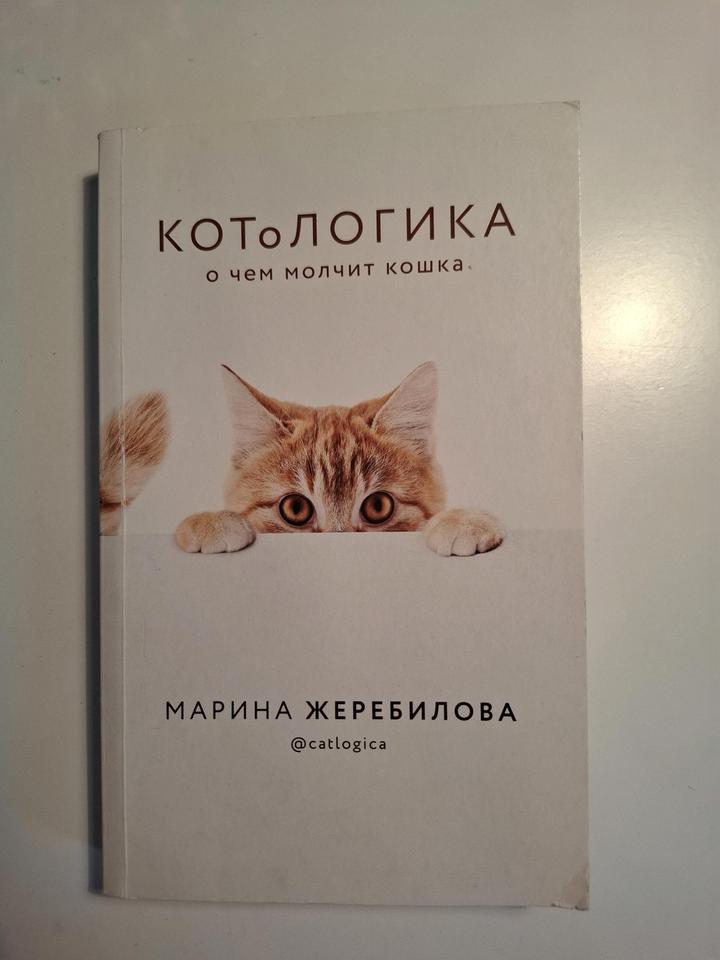 Книги Гипотеза любви/Золото в темной ночи/Часодеи/Котологика