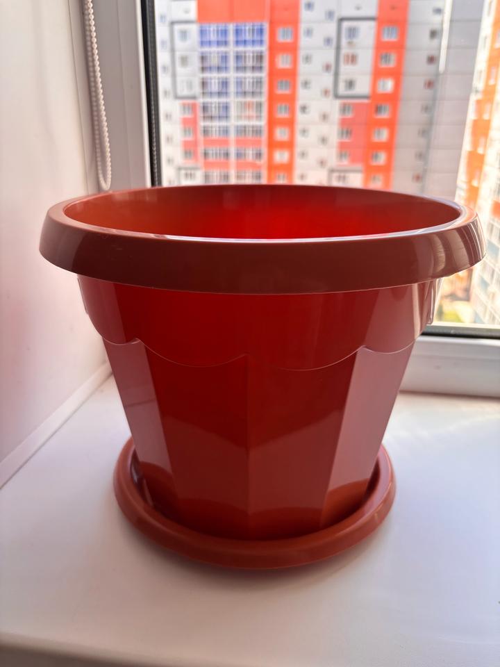 новая