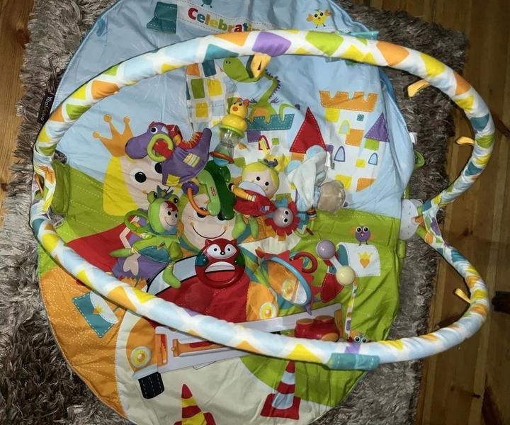 Лежанка с игрушками