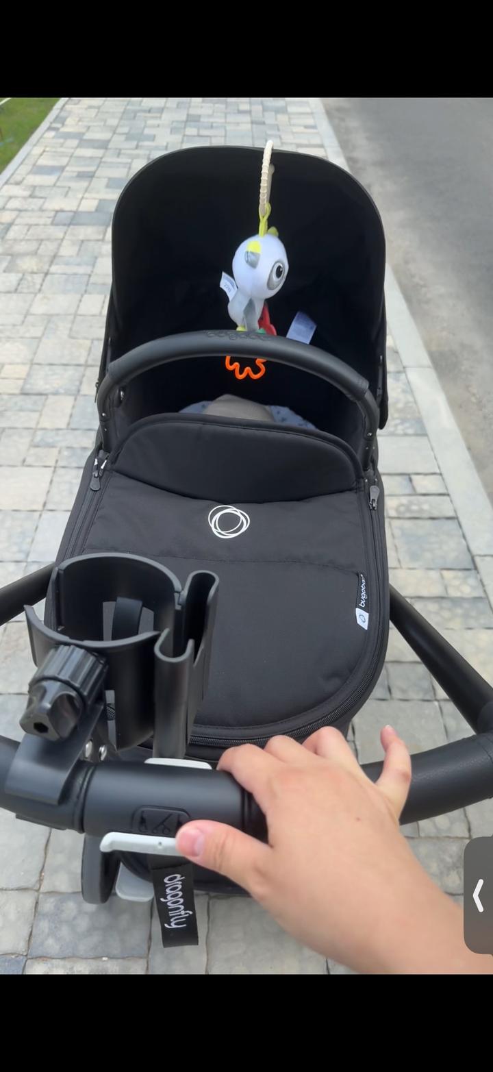 bugaboo dragonfly