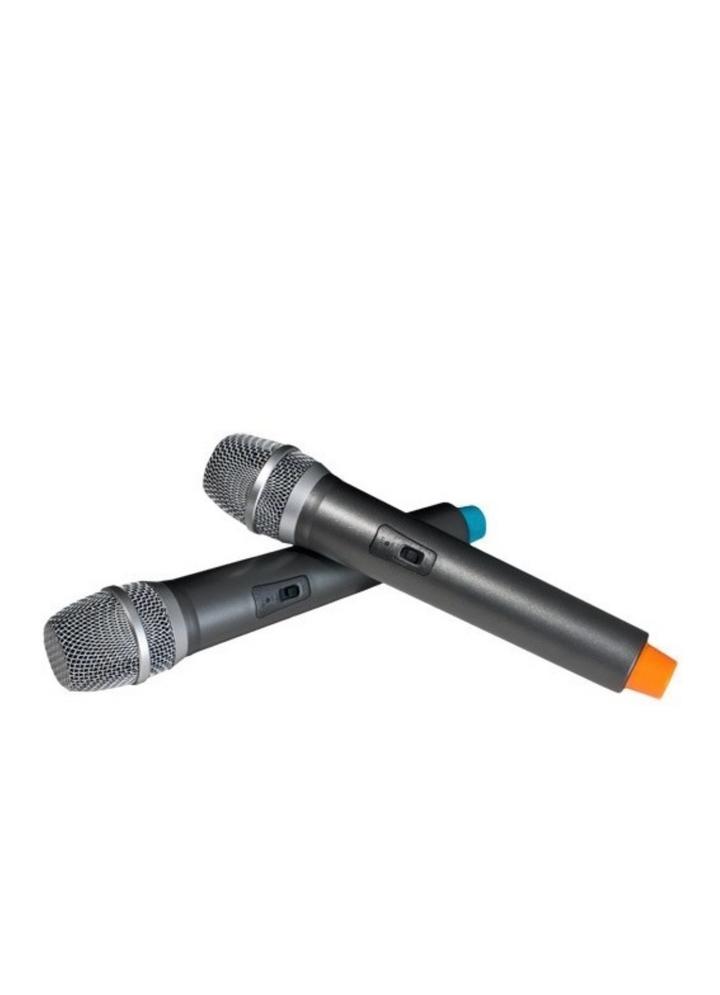 Микрофон Sound Wave SW22