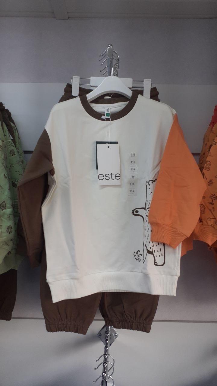 Свитшот и штаны двойка