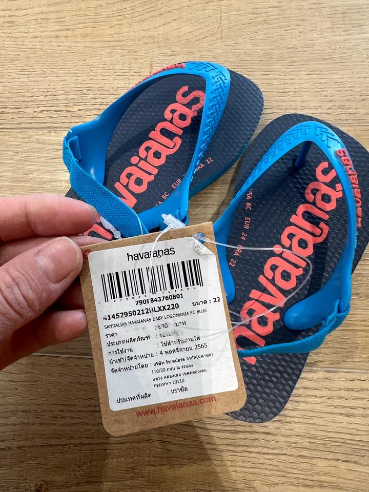 Сланцы havaianas