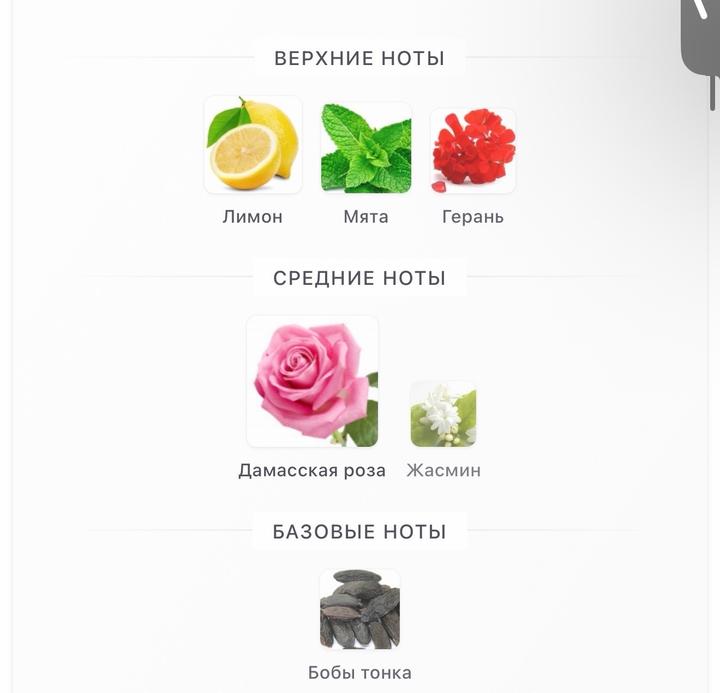 Orebella парфюм