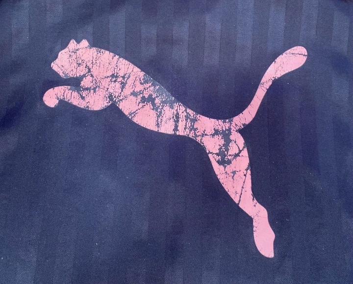 Спортивный костюм Puma