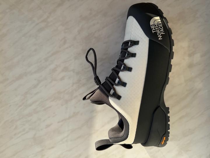 Демисезонные мужские кроссовки the north face