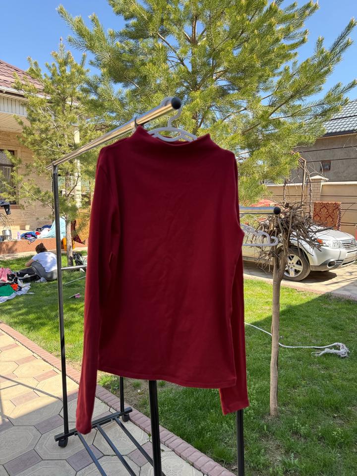 Лонслив Зара