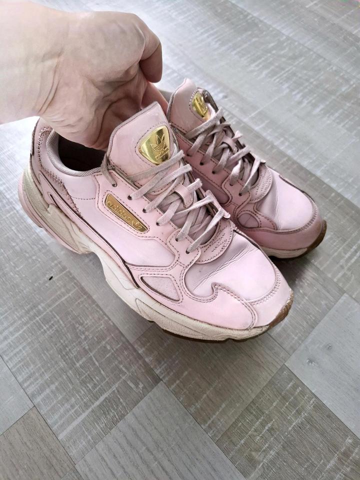 Adidas Falcon