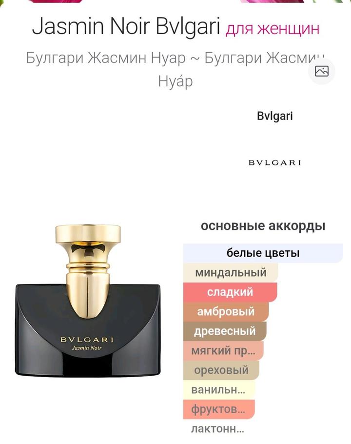 BVLGARI SPLENDIDA JASMIN NOIR