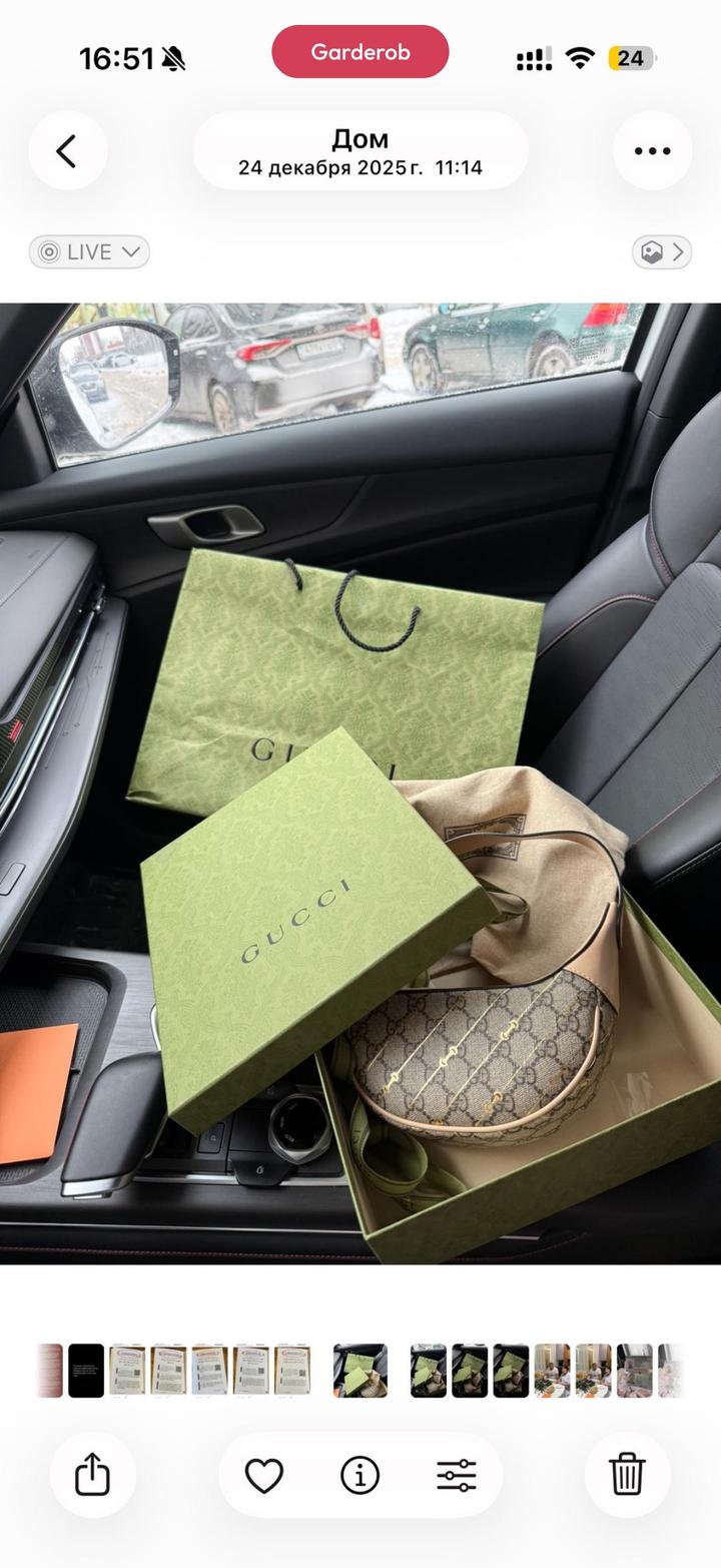 Gucci ophidia mini