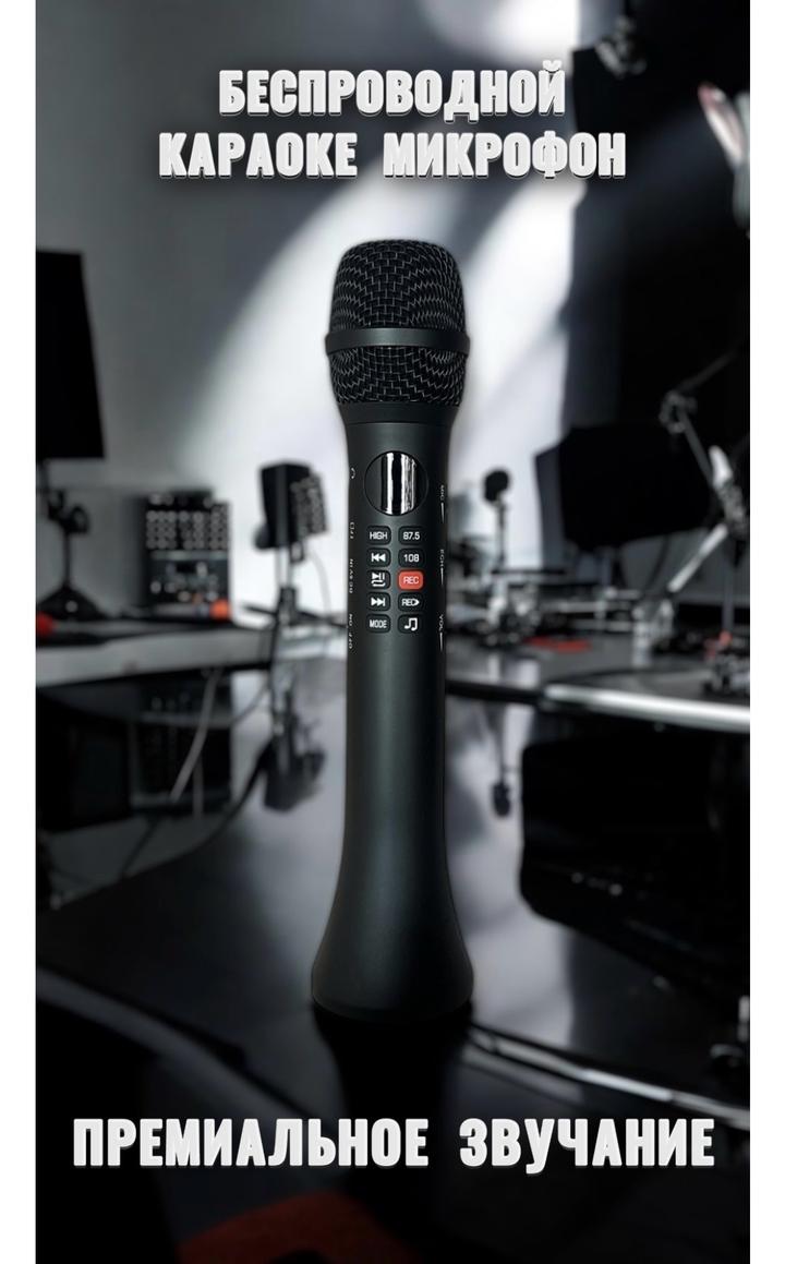 Микрофон MICMAGIC L700 черный