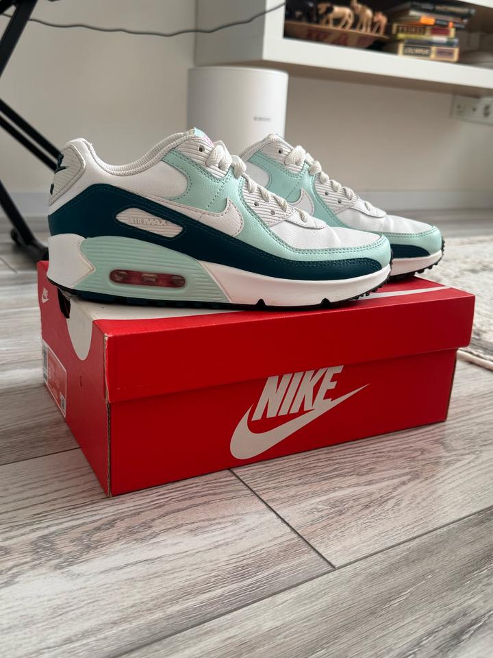 Кроссовки Nike Air max 90 LTR