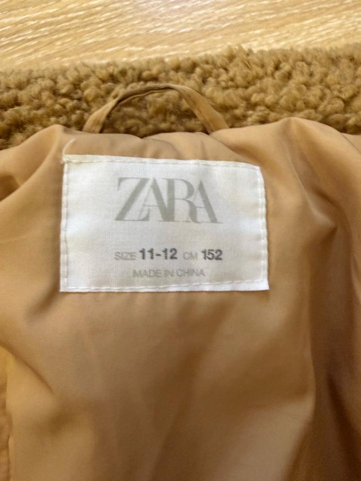 zara шубка тедди
