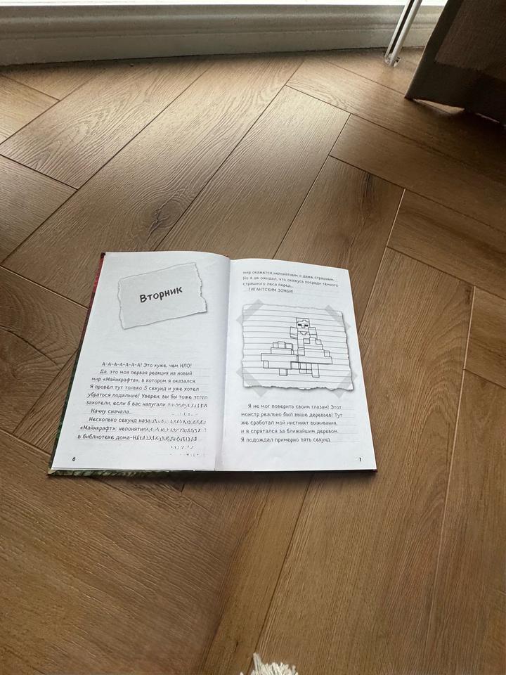 КНИГА ДНЕВНИК СТИВА