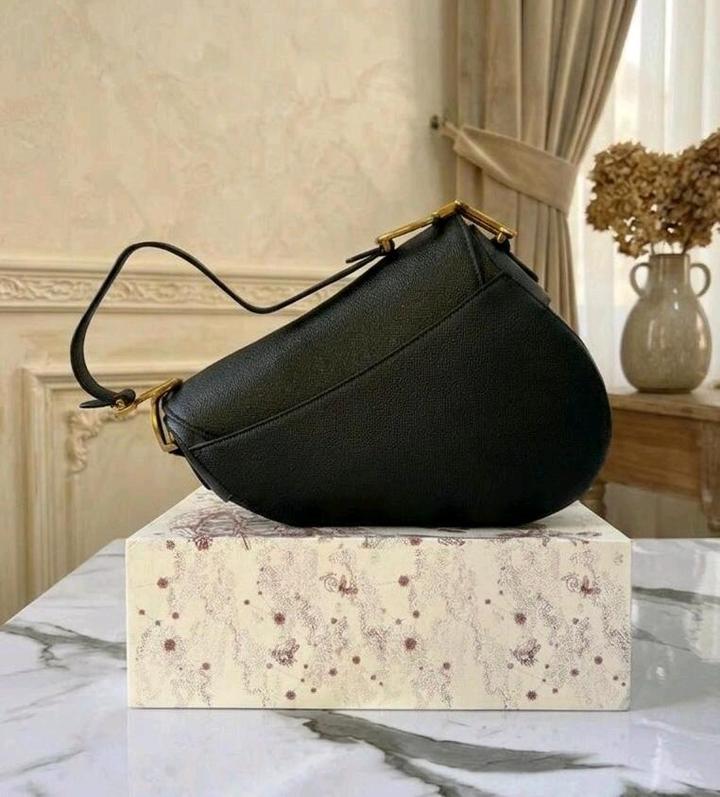 Dior Saddle Bag