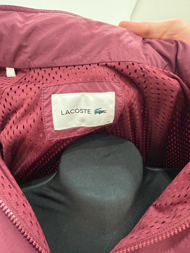 Костюм lacoste