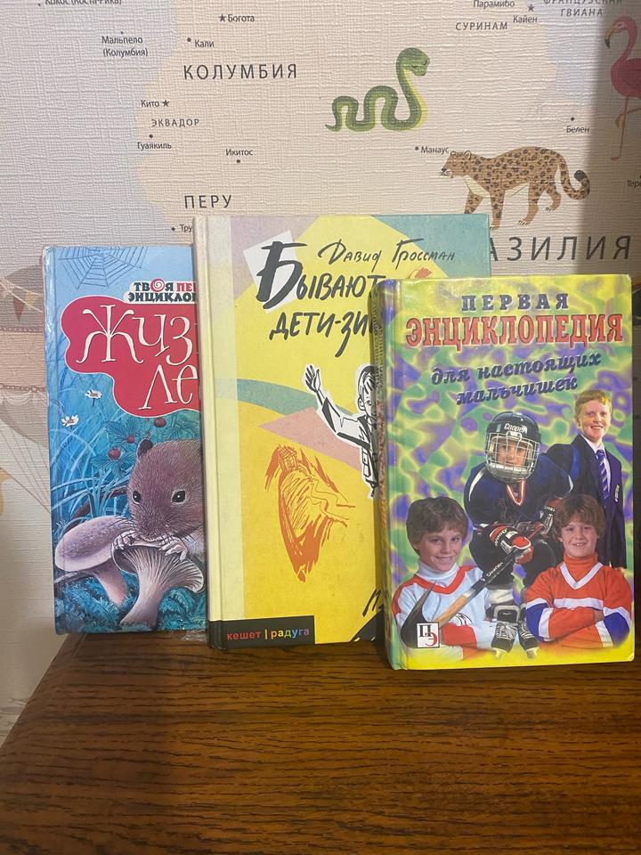 Книги для мальчика