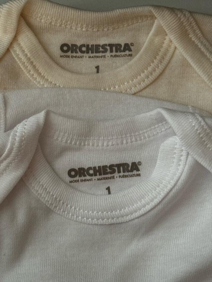 Боди Orchestra