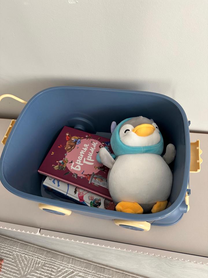 Органайзер для игрушек