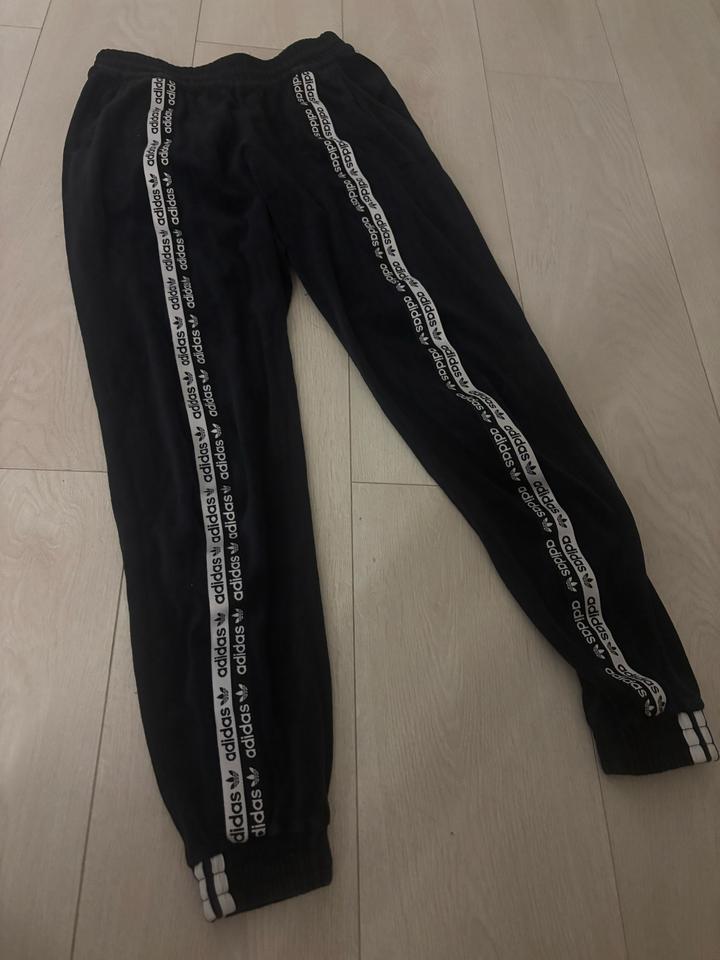велюровый костюм adidas