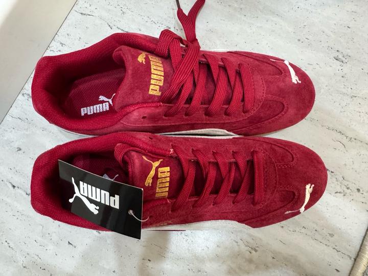 Puma speedcat