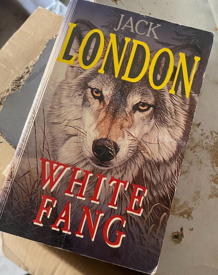 White Fang