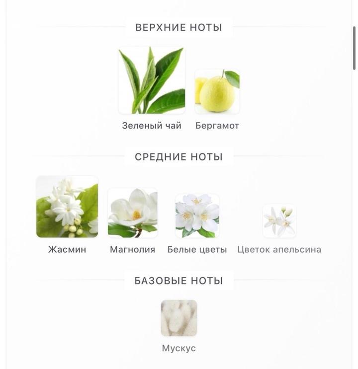 Sweet Jasmine Lanvin
