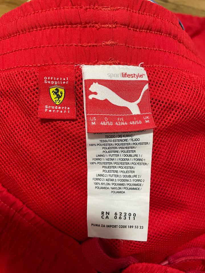 Спортивные брюки Puma