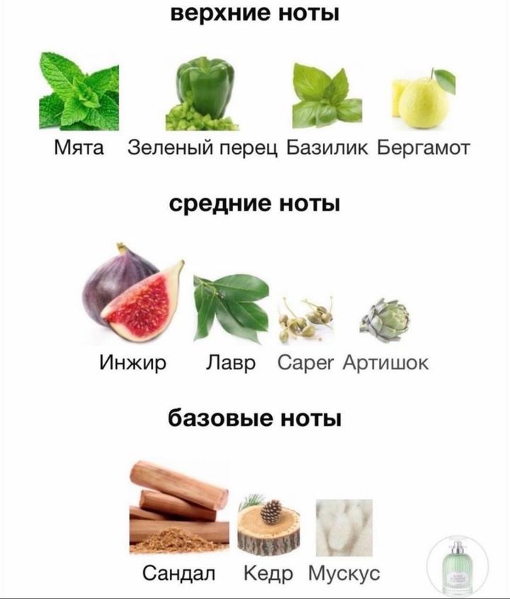 5 мл. Divinum Ficus Laura Biagiotti