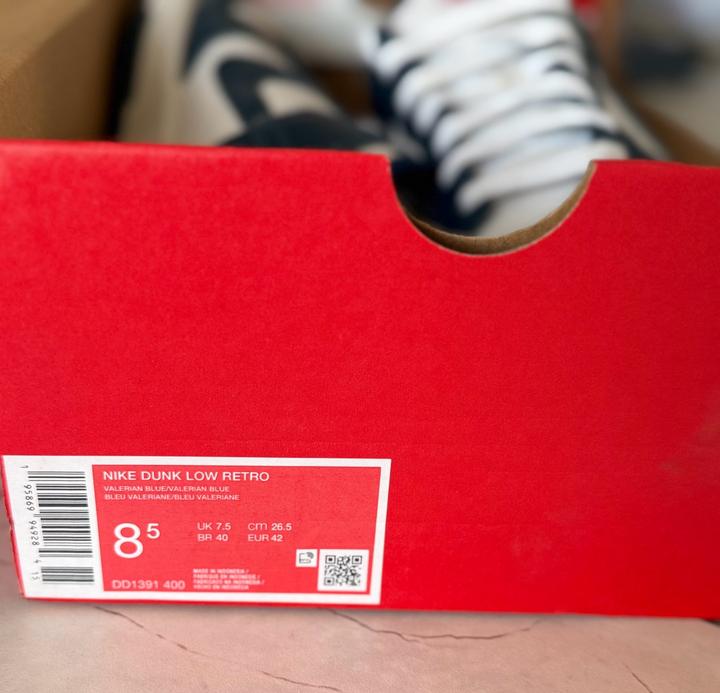 Кроссовки Nike Dunk Low Retro, Valerian blue