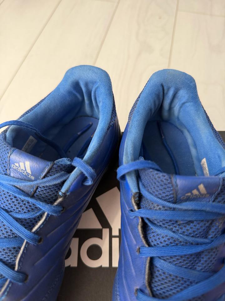 Сороконожки Adidas Copa 20.3 TF