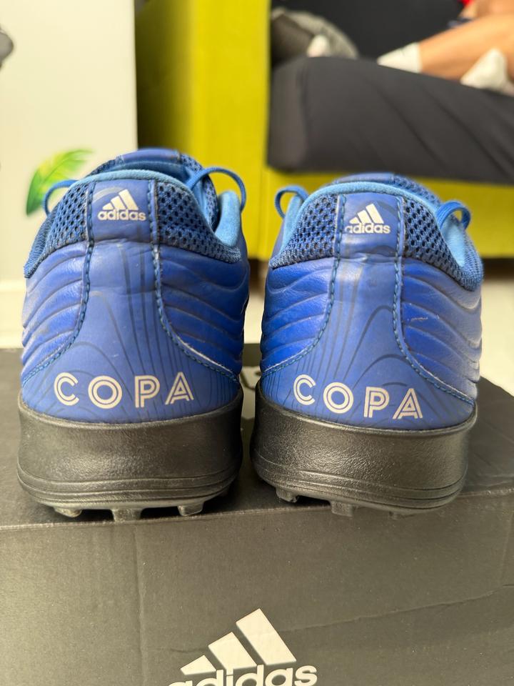 Сороконожки Adidas Copa 20.3 TF