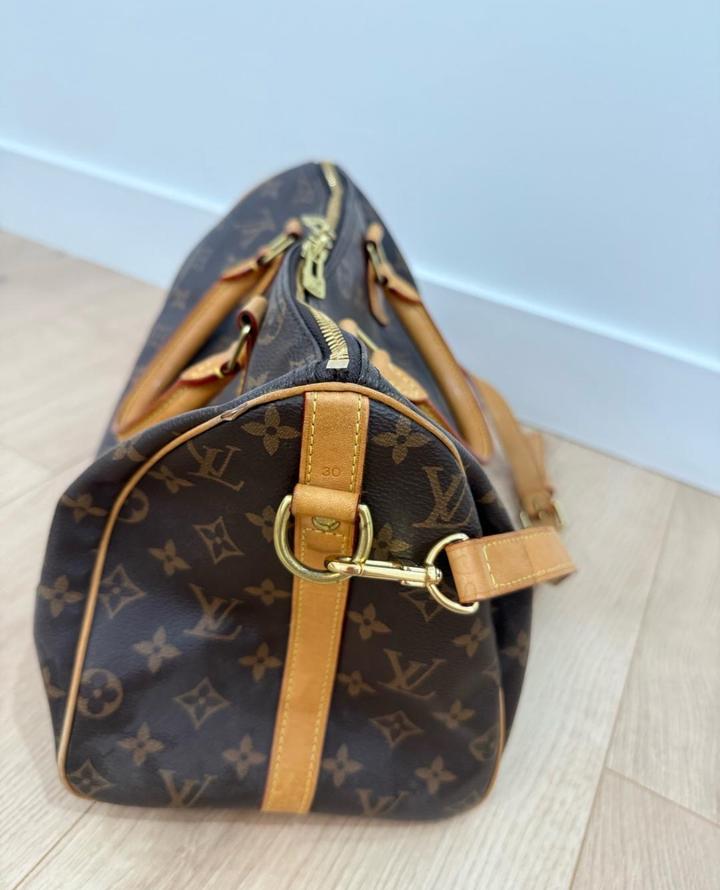 Сумка Louis Vuitton Speedy 30