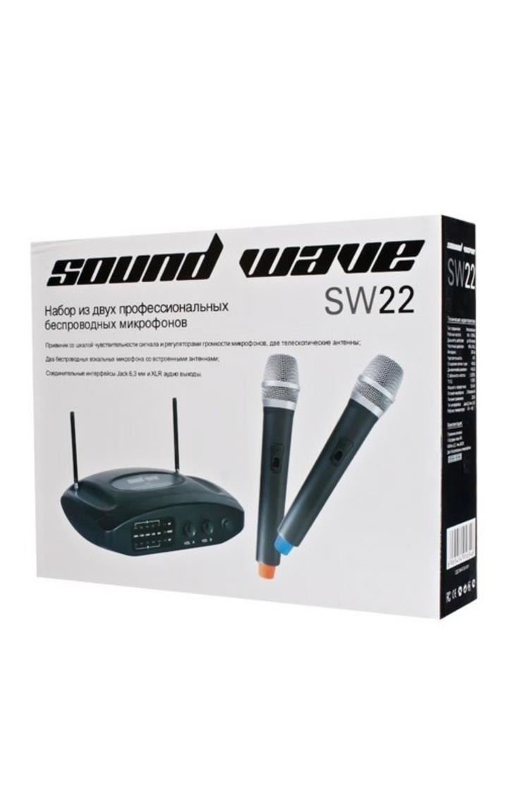 Микрофон Sound Wave SW22