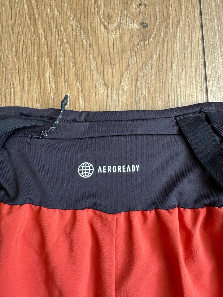 Новые шорты adidas terrex