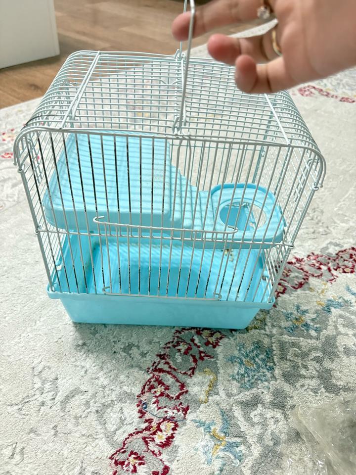 Всё для хомяков