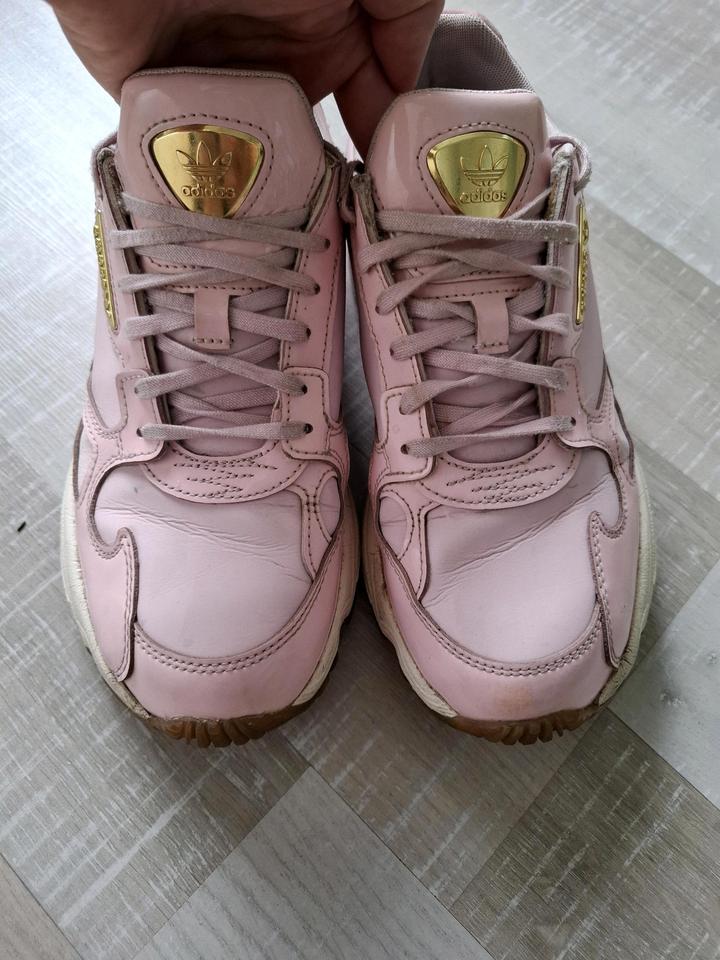 Adidas Falcon