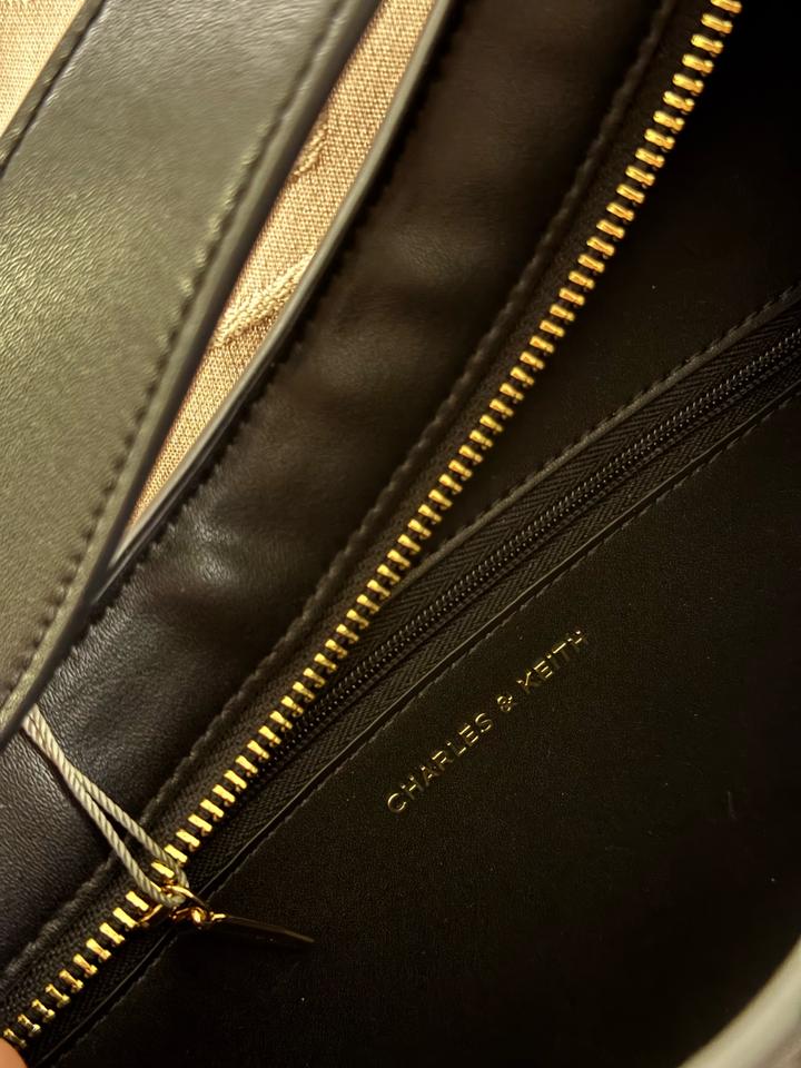 Хобо сумка Charles & Keith